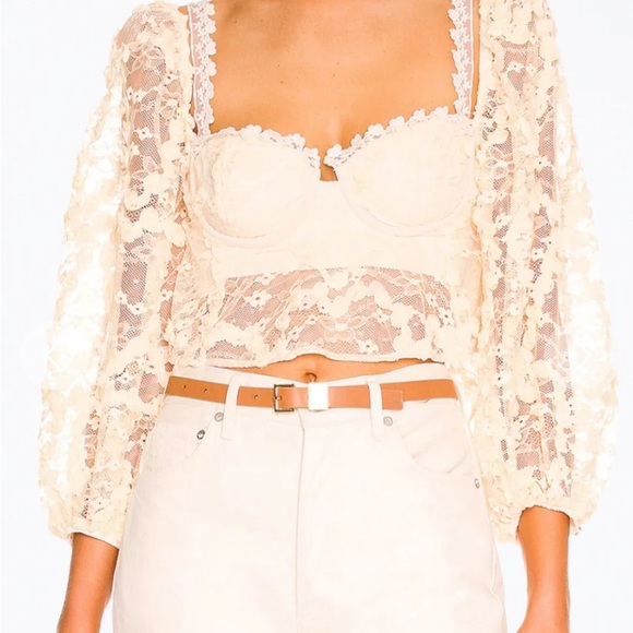 Elegant Cream Lace Top - Picture 1 of 6